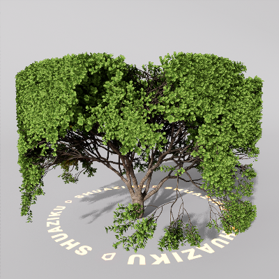 图片[17]-D5室外绿植树木模型20个-刷子库