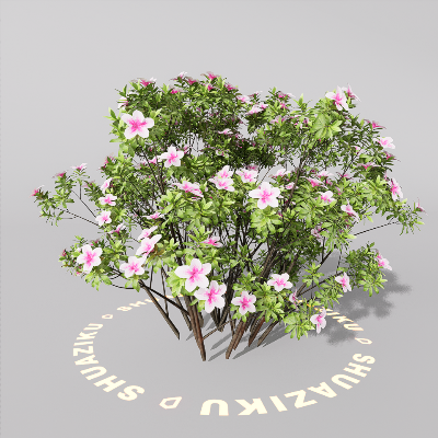 图片[16]-D5室外绿植树木模型20个-刷子库