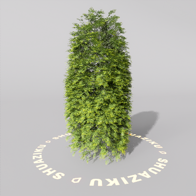 图片[18]-D5室外绿植树木模型20个-刷子库