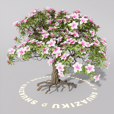 图片[20]-D5室外绿植树木模型20个-刷子库