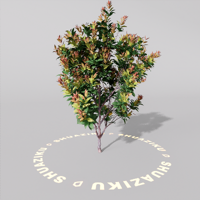 图片[1]-D5室外绿植树木模型20个-刷子库