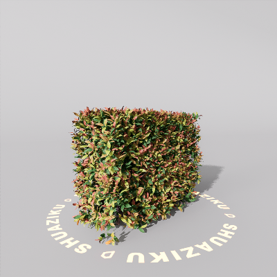 图片[2]-D5室外绿植树木模型20个-刷子库