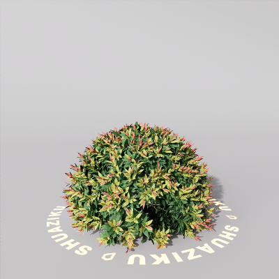 图片[3]-D5室外绿植树木模型20个-刷子库