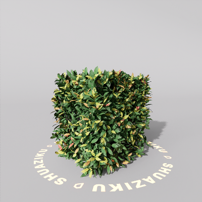 图片[4]-D5室外绿植树木模型20个-刷子库