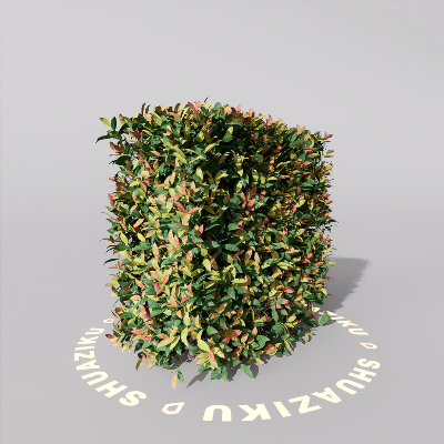 图片[5]-D5室外绿植树木模型20个-刷子库