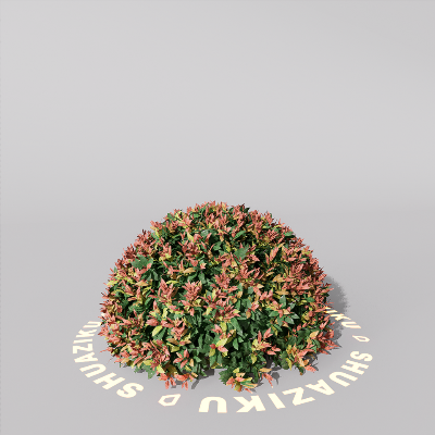 图片[6]-D5室外绿植树木模型20个-刷子库