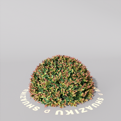 图片[8]-D5室外绿植树木模型20个-刷子库