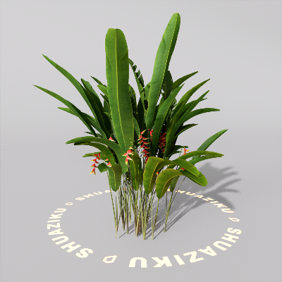 图片[9]-D5室外绿植树木模型20个-刷子库