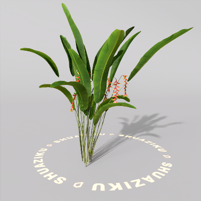 图片[10]-D5室外绿植树木模型20个-刷子库