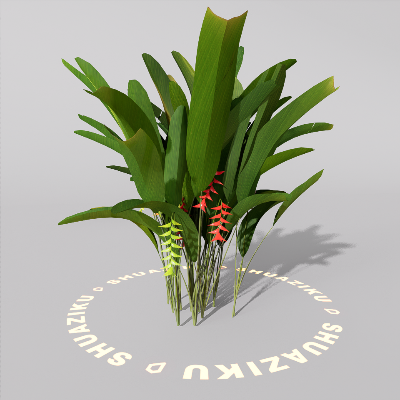 图片[12]-D5室外绿植树木模型20个-刷子库