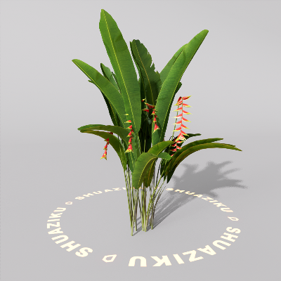 图片[11]-D5室外绿植树木模型20个-刷子库