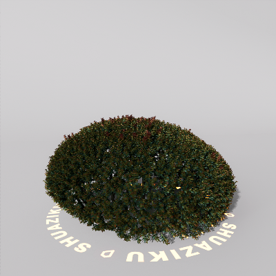 图片[14]-D5室外绿植树木模型20个-刷子库