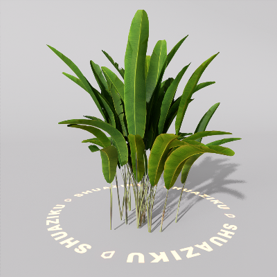 图片[13]-D5室外绿植树木模型20个-刷子库