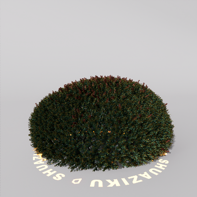 图片[15]-D5室外绿植树木模型20个-刷子库