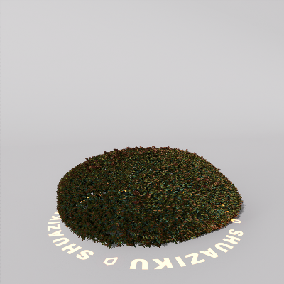 图片[16]-D5室外绿植树木模型20个-刷子库