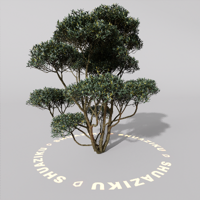 图片[18]-D5室外绿植树木模型20个-刷子库