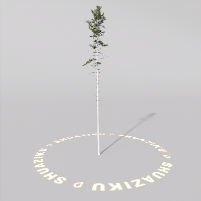 图片[1]-D5室外绿植树木模型20个-刷子库