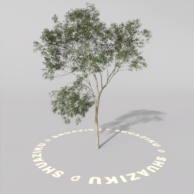 图片[3]-D5室外绿植树木模型20个-刷子库