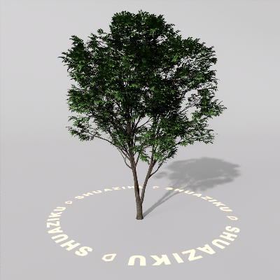 图片[2]-D5室外绿植树木模型20个-刷子库