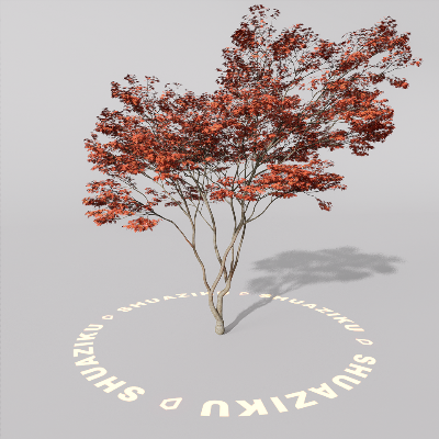 图片[5]-D5室外绿植树木模型20个-刷子库