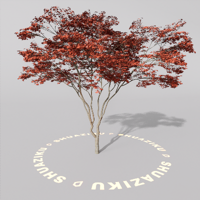 图片[6]-D5室外绿植树木模型20个-刷子库