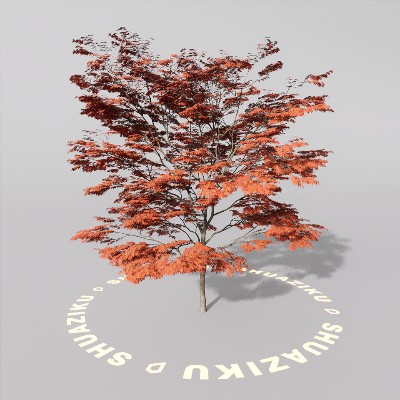 图片[7]-D5室外绿植树木模型20个-刷子库