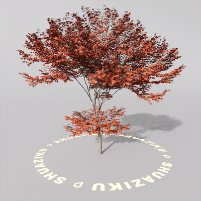 图片[9]-D5室外绿植树木模型20个-刷子库