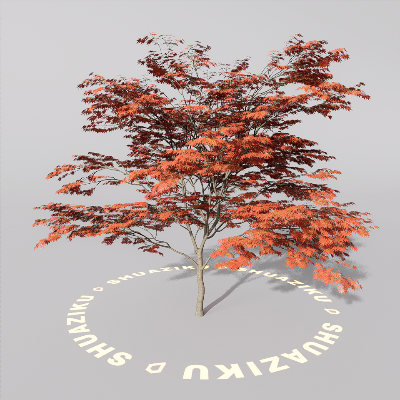 图片[8]-D5室外绿植树木模型20个-刷子库