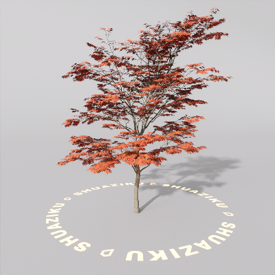 图片[10]-D5室外绿植树木模型20个-刷子库