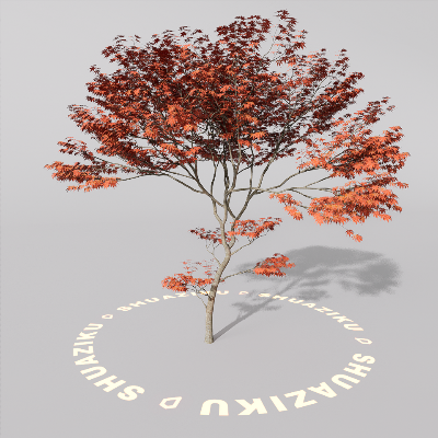 图片[11]-D5室外绿植树木模型20个-刷子库