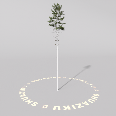 图片[18]-D5室外绿植树木模型20个-刷子库