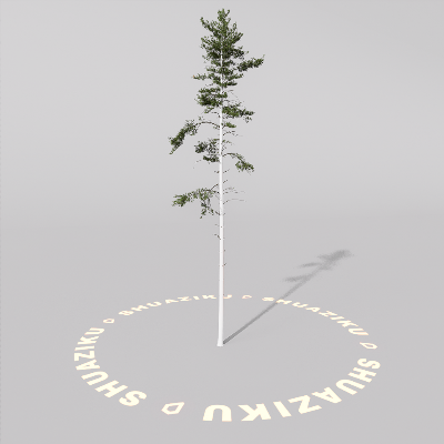 图片[19]-D5室外绿植树木模型20个-刷子库