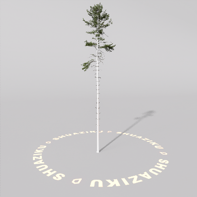 图片[20]-D5室外绿植树木模型20个-刷子库