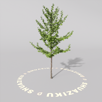 图片[1]-D5室外绿植树木模型20个-刷子库