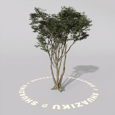 图片[2]-D5室外绿植树木模型20个-刷子库