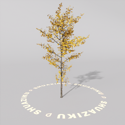 图片[3]-D5室外绿植树木模型20个-刷子库