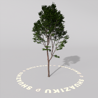 图片[5]-D5室外绿植树木模型20个-刷子库