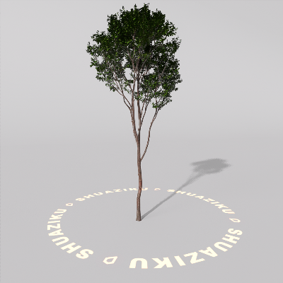 图片[8]-D5室外绿植树木模型20个-刷子库