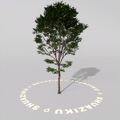 图片[9]-D5室外绿植树木模型20个-刷子库