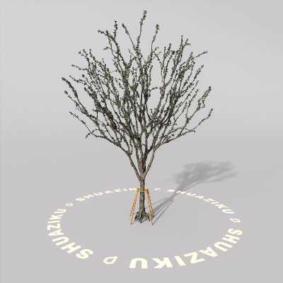 图片[13]-D5室外绿植树木模型20个-刷子库