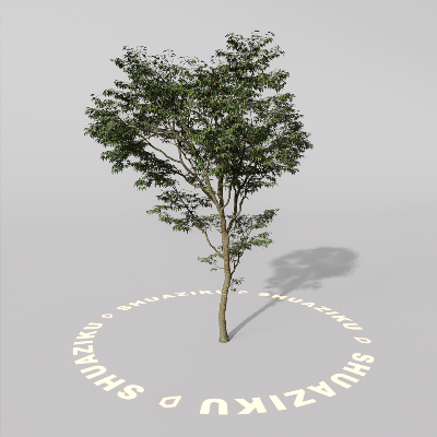 图片[18]-D5室外绿植树木模型20个-刷子库