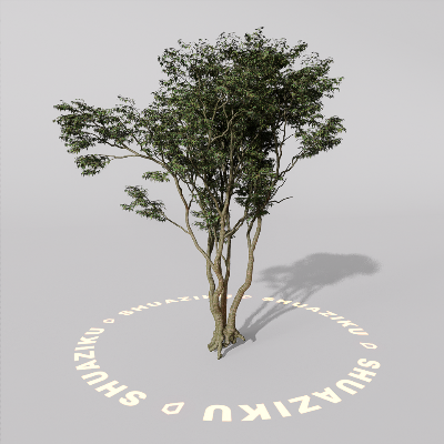 图片[19]-D5室外绿植树木模型20个-刷子库