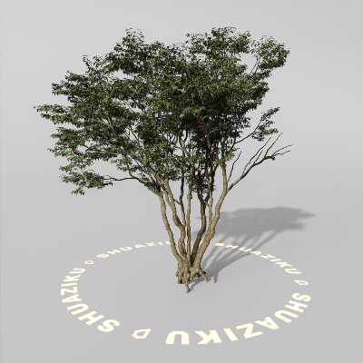 图片[20]-D5室外绿植树木模型20个-刷子库