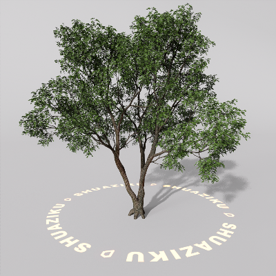 图片[2]-D5室外绿植树木模型20个-刷子库