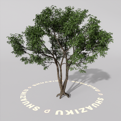 图片[3]-D5室外绿植树木模型20个-刷子库