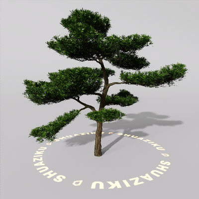 图片[4]-D5室外绿植树木模型20个-刷子库