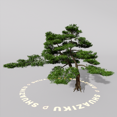 图片[8]-D5室外绿植树木模型20个-刷子库