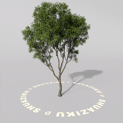 图片[10]-D5室外绿植树木模型20个-刷子库