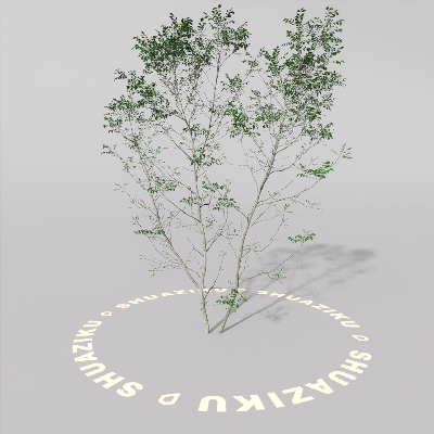 图片[13]-D5室外绿植树木模型20个-刷子库