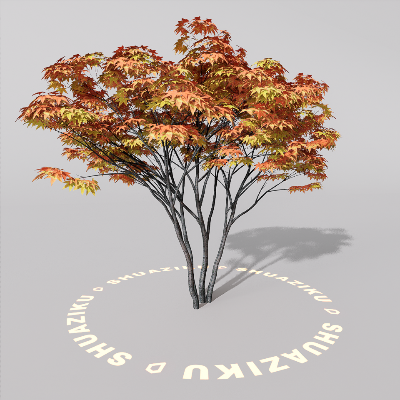 图片[14]-D5室外绿植树木模型20个-刷子库